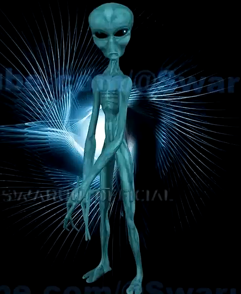 grisbajos39.png grisbajos39.png